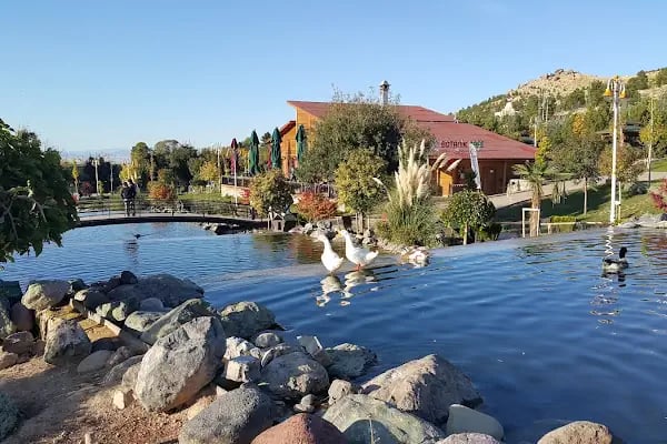 Malatya Hayvanat Bahçesi - Resim 15