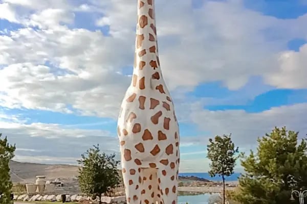Malatya Hayvanat Bahçesi - Resim 6