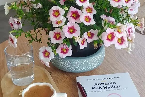 Fatma Nur Oytun Psikodeva Psikoloji ve Danışmanlık Merkezi - Resim 10