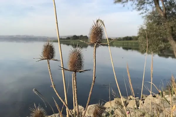 Bahşayiş-Karaağaç Yolu (Göl Geçiti) - Resim 20