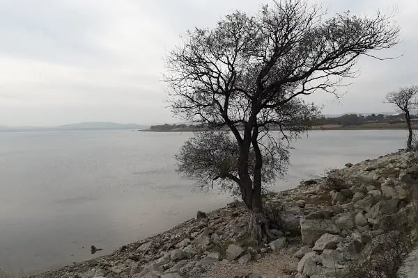 Bahşayiş-Karaağaç Yolu (Göl Geçiti) - Resim 4
