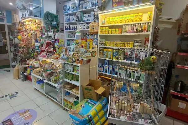 Nezih Petshop Evcil Hayvan Malzemeleri - Resim 16