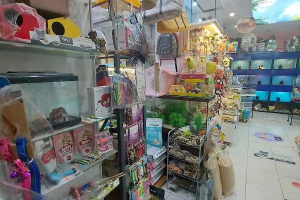 Nezih Petshop Evcil Hayvan Malzemeleri - Resim 8