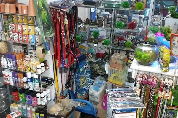 Nezih Petshop Evcil Hayvan Malzemeleri - Resim 11
