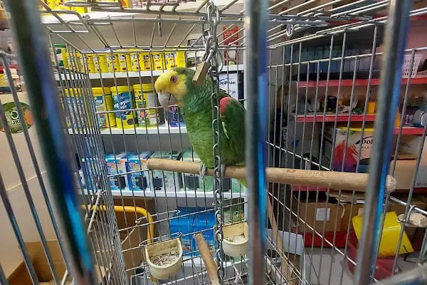Nezih Petshop Evcil Hayvan Malzemeleri - Resim 9