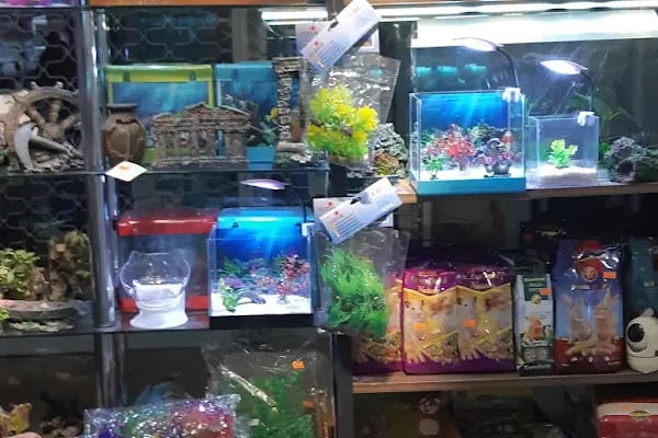 Nezih Petshop Evcil Hayvan Malzemeleri - Resim 18