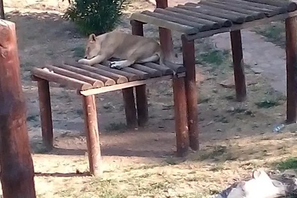 Gaziantep Harikalar Parkı - Resim 2