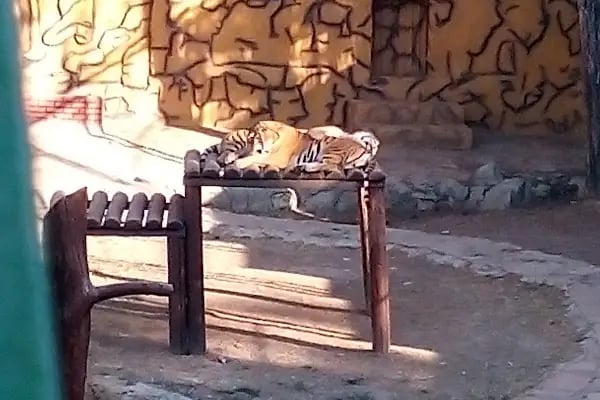 Gaziantep Harikalar Parkı - Resim 16