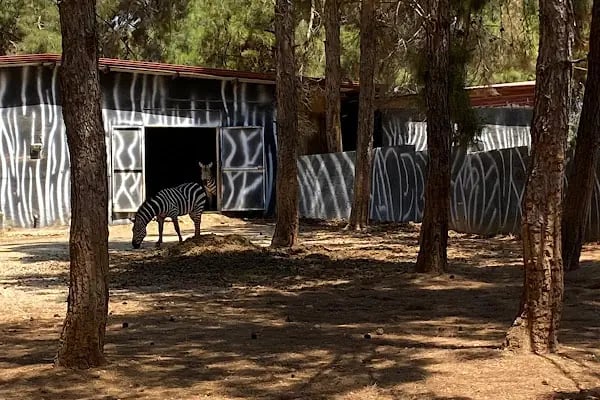 Gaziantep Harikalar Parkı - Resim 14
