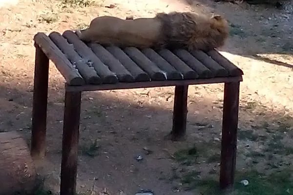 Gaziantep Harikalar Parkı - Resim 17