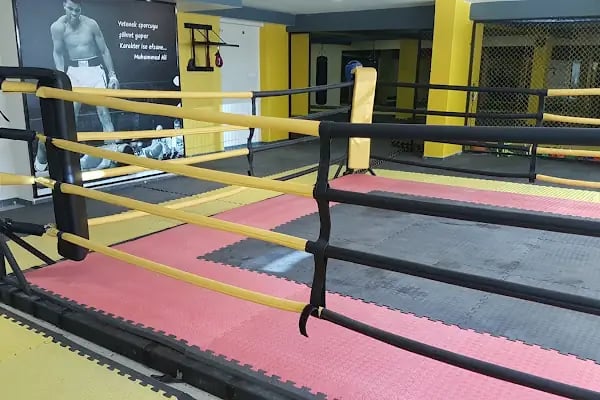 Fit or Fight Fitness Gym - Resim 4
