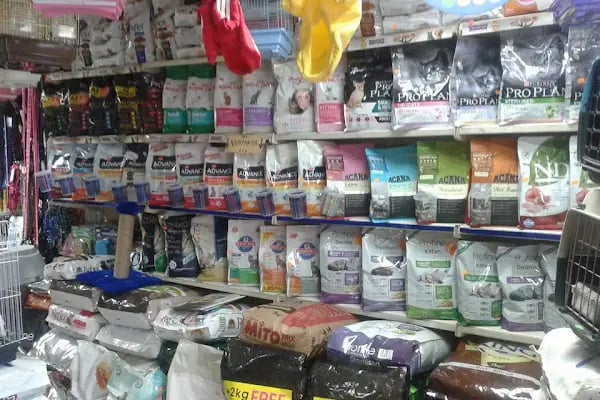 BALÇOVA SILA PETSHOP - Resim 8