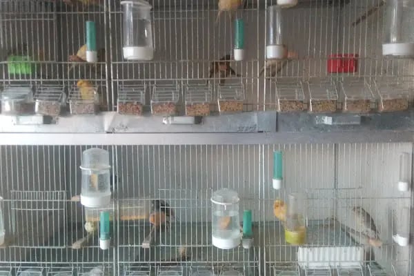Baytar Pet Shop - Resim 12