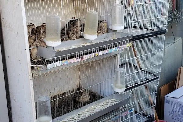 Baytar Pet Shop - Resim 7
