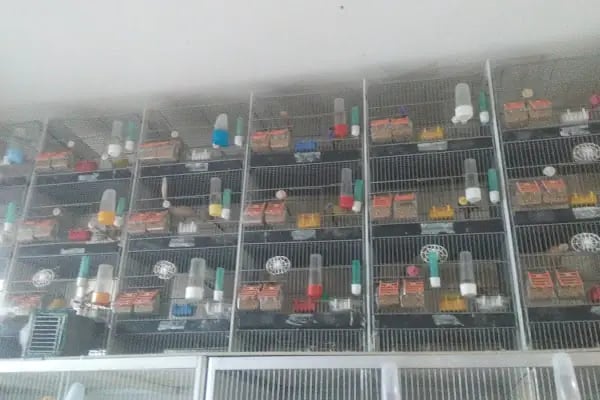 Baytar Pet Shop - Resim 10