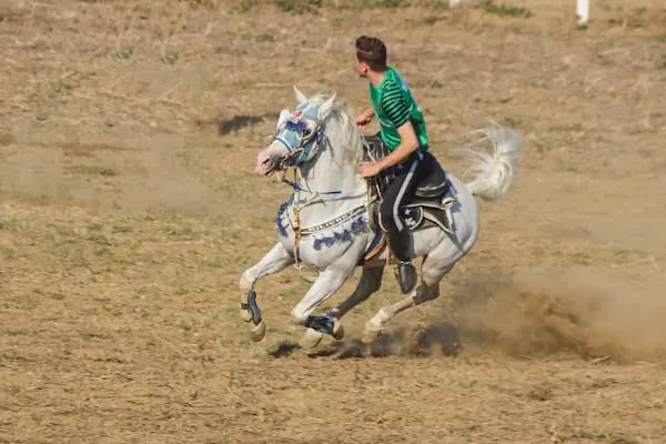 BURSA ATLI CİRİT VE OKÇULUK SPOR KULÜBÜ - Resim 14