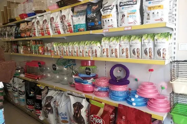 K9 Esra Petshop - Resim 5