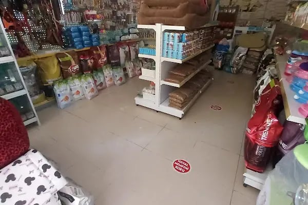 K9 Esra Petshop - Resim 11