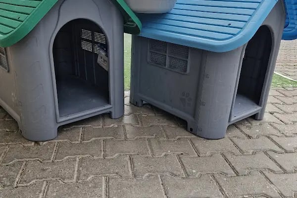 K9 Esra Petshop - Resim 4