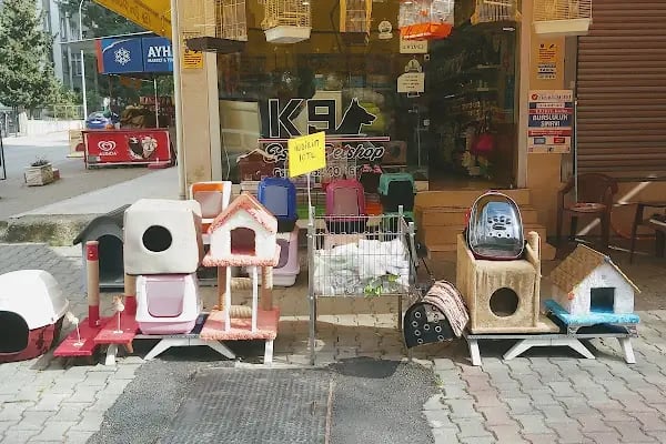 K9 Esra Petshop - Resim 12