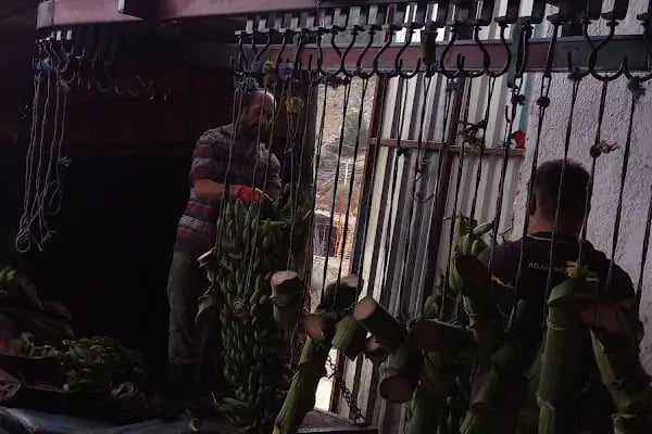 Antaş Muz Sarartma Paketleme Tesisi - Resim 3