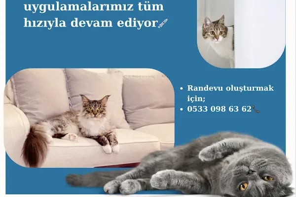 Lena Veteriner Kliniği - Resim 7