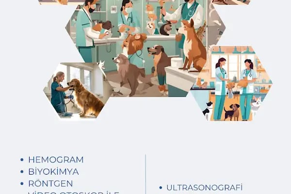 Lena Veteriner Kliniği - Resim 8