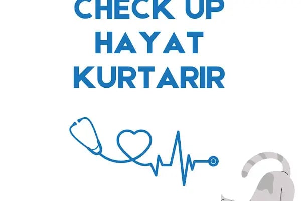 Lena Veteriner Kliniği - Resim 10