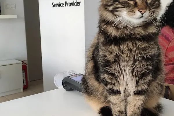 ProMC Apple Yetkili Servis Sağlayıcısı- Ankara - Resim 11