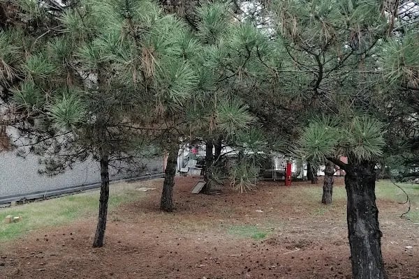 Arçelik Bulaşık Makinesi İşletmesi - Resim 9
