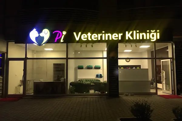Pi Veteriner Kliniği - Resim 12