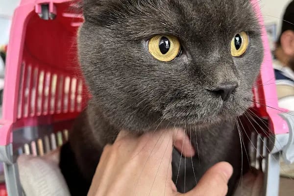 Pi Veteriner Kliniği - Resim 15