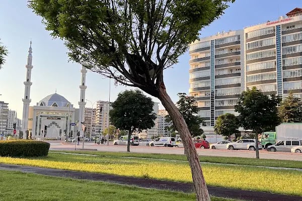 Pi Veteriner Kliniği - Resim 18