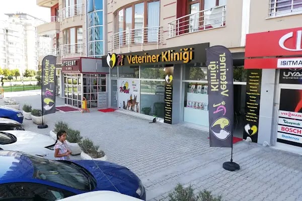 Pi Veteriner Kliniği - Resim 2