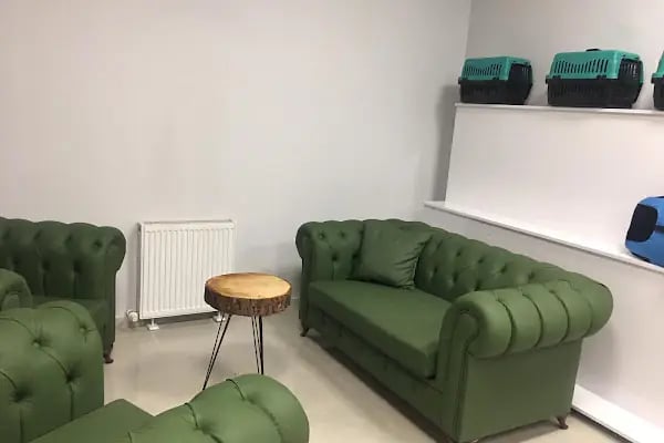 Pi Veteriner Kliniği - Resim 4