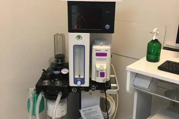 Pi Veteriner Kliniği - Resim 17
