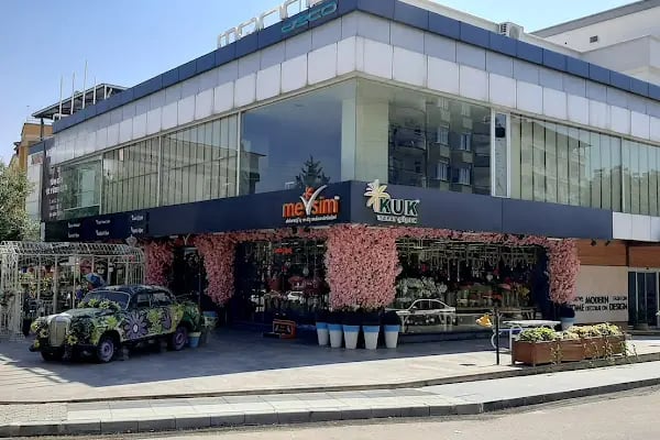 Mevsim Çiçek - Resim 7