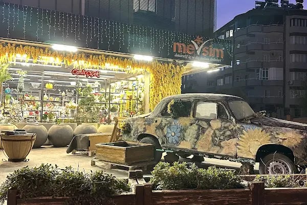 Mevsim Çiçek - Resim 11