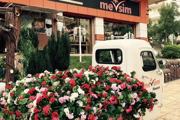 Mevsim Çiçek - Resim 2