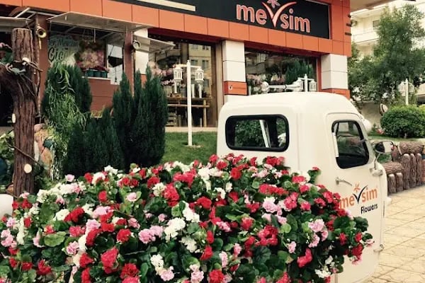 Mevsim Çiçek - Resim 18