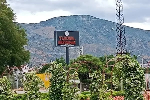 Yüksel çiçekçilik - Resim 2