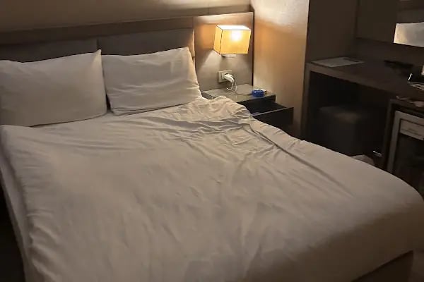 The New Hotel Zeybek - Resim 18