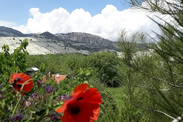 beypazarı saklı bahçe düğün salonu - Resim 19