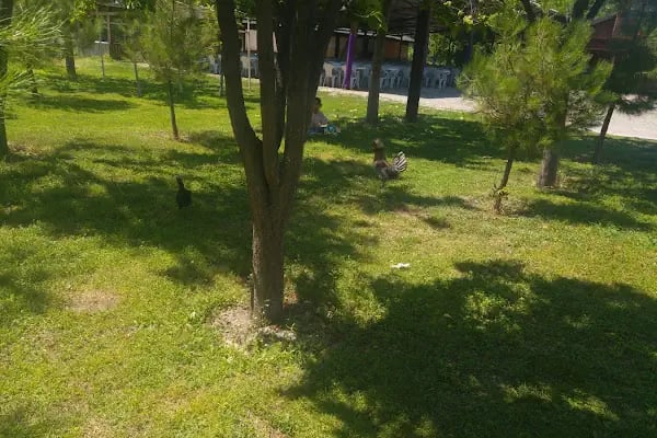 beypazarı saklı bahçe düğün salonu - Resim 14
