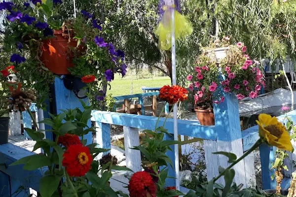 beypazarı saklı bahçe düğün salonu - Resim 6