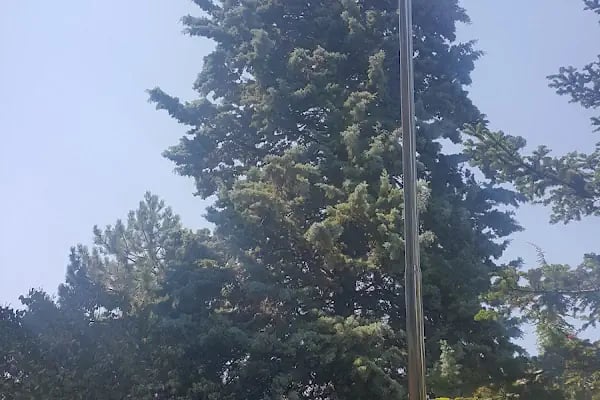 Kuzey Kıbrıs Türk Cumhuriyeti Ankara Büyükelçiliği - Resim 8