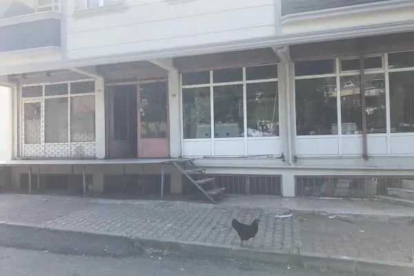 Zirve Teknik Soğutma Sistemleri - Resim 14