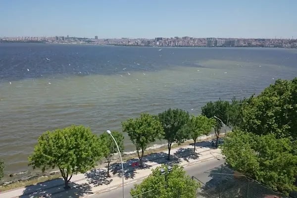 Avcılar Belediyesi Gümüşpala Semt Pazarı - Resim 10
