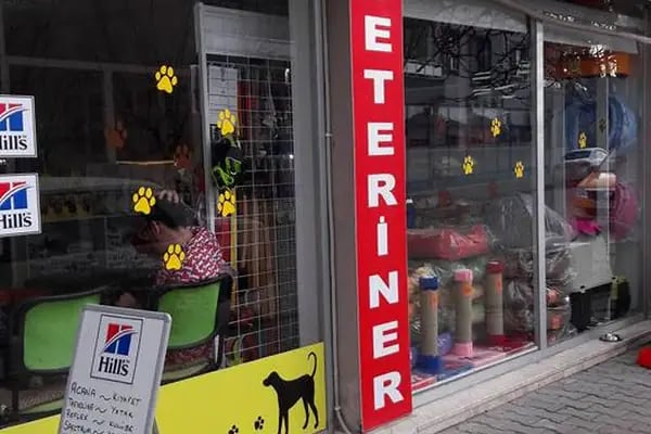 S Veteriner Kliniği - Resim 3