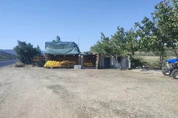 Salimin yeri kavun işletmesi - Resim 4